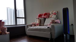 Adria (D11), Apartment #128403312